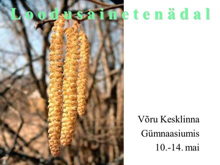 Võru Kesklinna Gümnaasiumis 10.-14. mai L o o d u s a i n e t e n ä d a l.