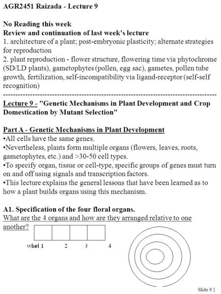 AGR2451 Raizada - Lecture 9 No Reading this week Review and continuation of last week's lecture 1. architecture of a plant; post-embryonic plasticity;