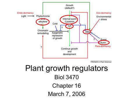 Plant growth regulators