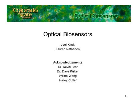 Optical Biosensors Joel Kindt Lauren Netherton Acknowledgements Dr. Kevin Lear Dr. Dave Kisker Weina Wang Hailey Cutler 1.