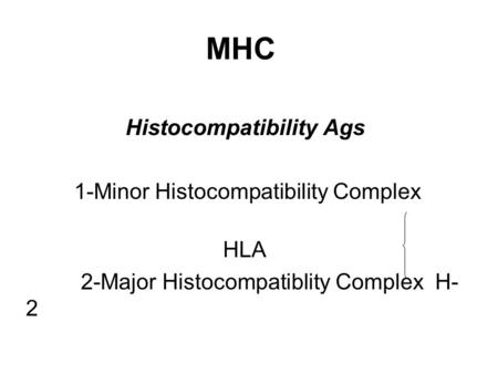 MHC Histocompatibility Ags 1-Minor Histocompatibility Complex HLA 2-Major Histocompatiblity Complex H- 2.