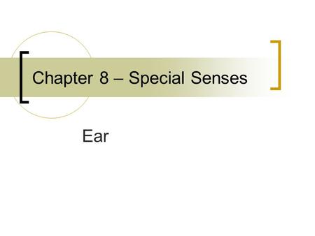 Chapter 8 – Special Senses