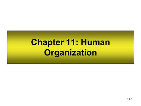 Chapter 11: Human Organization