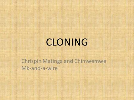 Chrispin Matinga and Chimwemwe Mk-and-a-wire