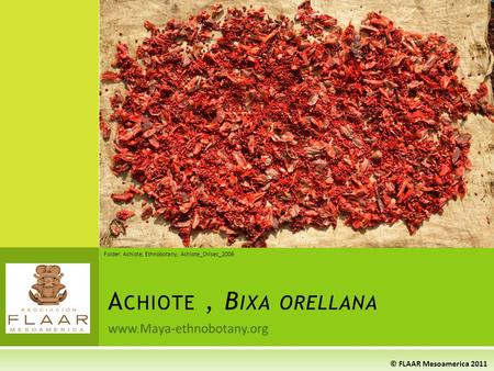 A CHIOTE, B IXA ORELLANA www.Maya-ethnobotany.org © FLAAR Mesoamerica 2011 Folder: Achiote, Ethnobotany; Achiote_Chisec_2006.