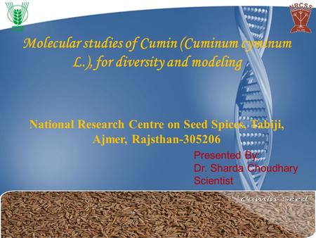 Molecular studies of Cumin (Cuminum cyminum L.), for diversity and modeling National Research Centre on Seed Spices, Tabiji, Ajmer, Rajsthan-305206 Presented.