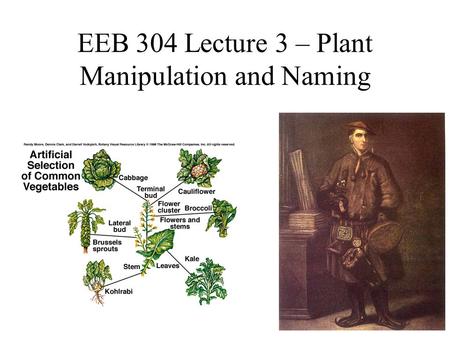 EEB 304 Lecture 3 – Plant Manipulation and Naming.