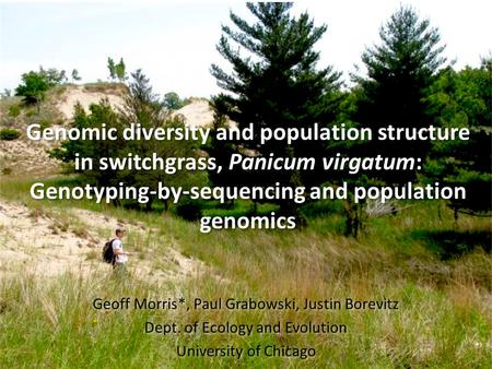 Genomic diversity and population structure in switchgrass, Panicum virgatum: Genotyping-by-sequencing and population genomics Geoff Morris*, Paul Grabowski,