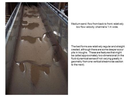 Medium sand; flow from back to front; relatively low flow velocity; channel is 1 m wide. The bed forms are relatively regular and straight crested, although.