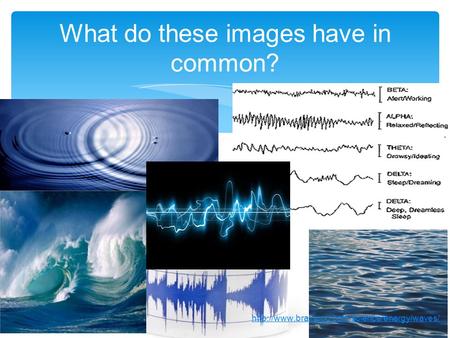 What do these images have in common?