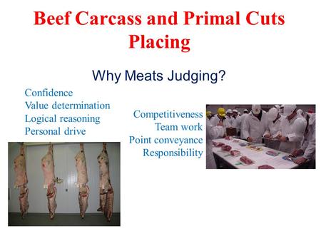 Beef Carcass and Primal Cuts Placing Confidence Value determination Logical reasoning Personal drive Competitiveness Team work Point conveyance Responsibility.