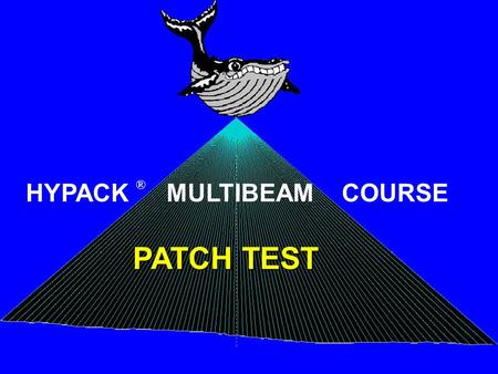 PATCH TEST HYPACK ® MULTIBEAM COURSE