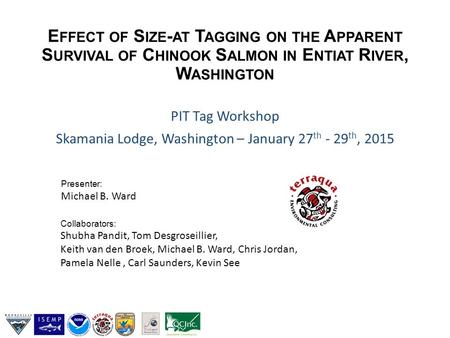 E FFECT OF S IZE - AT T AGGING ON THE A PPARENT S URVIVAL OF C HINOOK S ALMON IN E NTIAT R IVER, W ASHINGTON PIT Tag Workshop Skamania Lodge, Washington.