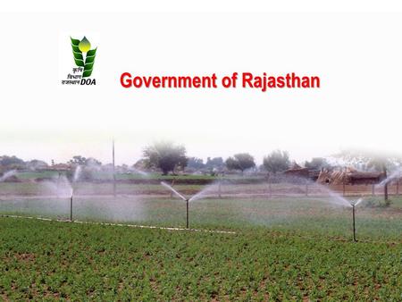 Government of Rajasthan. Reward Scheme for Recognizing Efforts of The Best Performing States in Food grain, Coarse Cereals, Rice, Pulses and Wheat Production.