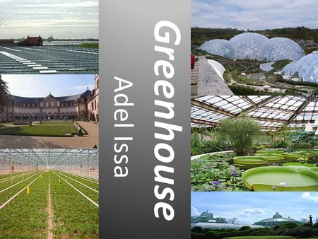 Greenhouse Adel Issa. Introduction Greenhouses are places were different plans grow, the green house has glass doors and roofs because plants need sunlight.