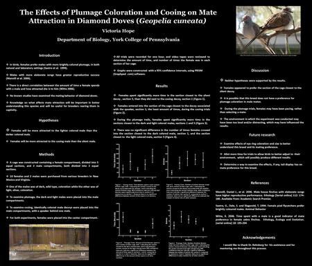 The Effects of Plumage Coloration and Cooing on Mate Attraction in Diamond Doves (Geopelia cuneata) Victoria Hope Department of Biology, York College of.