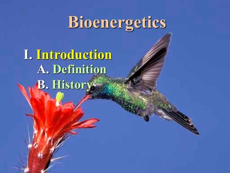 Bioenergetics I. Introduction A. Definition B. History.