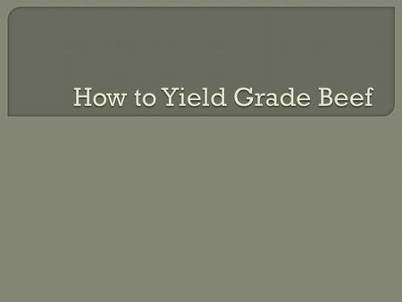  While Quality grade deals with a prediction of the eating quality of the meat, Yield grade is a measurement of the amount of edible meat that the carcass.