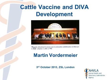 Cattle Vaccine and DIVA Development Martin Vordermeier 3 rd October 2013, ZSL London.