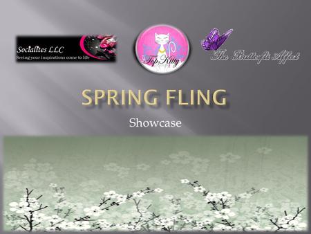 Showcase. To showcase the services that Socialites LLC, The Butterfli Affect and Top Kitty has to offer.