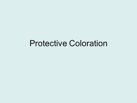 Protective Coloration