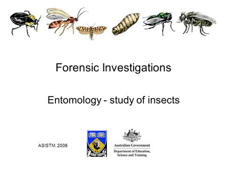 Entomology - study of insects Forensic Investigations ASISTM, 2006.