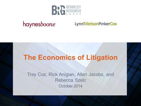 The Economics of Litigation