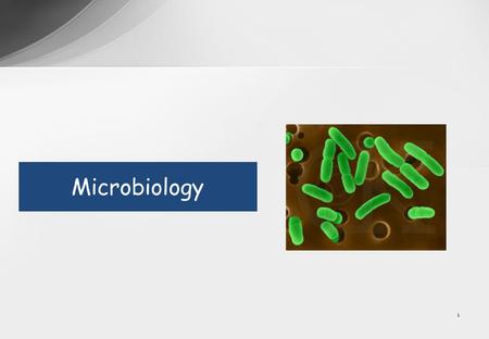 1 Microbiology. 2 Overview Lectures Study tips Syllabus Practical session Examinations.