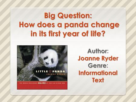 Big Question: How does a panda change in its first year of life?