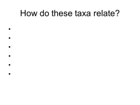 How do these taxa relate?. How do these embryological features relate to Deuterostomes and Protostomes?