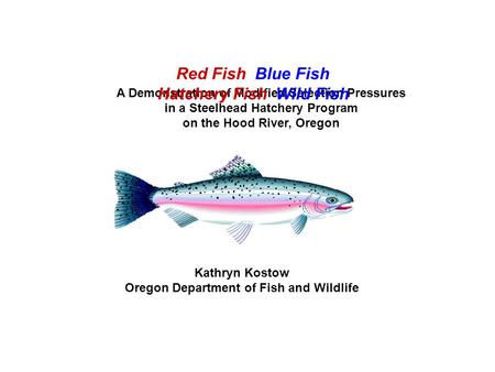 Kathryn Kostow Oregon Department of Fish and Wildlife A Demonstration of Modified Selection Pressures in a Steelhead Hatchery Program on the Hood River,