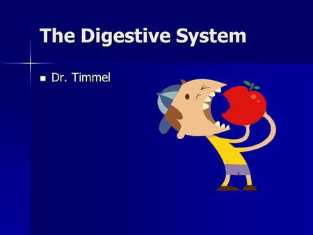 The Digestive System Dr. Timmel Dr. Timmel. What is the digestive system? The digestive system is a one-way tube the begins at the mouth and ends at the.