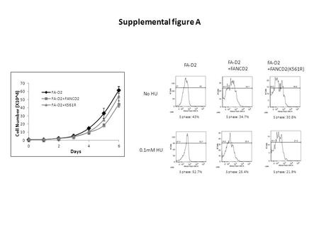 Supplemental figure A FA-D2 +FANCD2 FA-D2 +FANCD2(K561R) No HU 0.1mM HU S phase: 43%S phase: 34.7% S phase: 30.8% S phase: 52.7%S phase: 25.4%S phase: