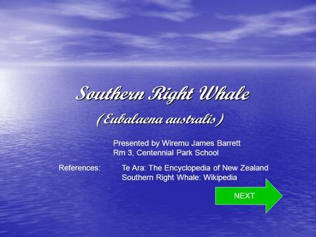 Southern Right Whale Southern Right Whale (Eubalaena australis) NEXT References: Te Ara: The Encyclopedia of New Zealand Southern Right Whale: Wikipedia.