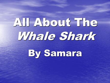 All About The Whale Shark By Samara Table of Contents Where are Whale Sharks found?4 What do Whale Shark s look like?6 How did the Whale Shark get.