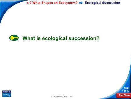 Ecological Succession