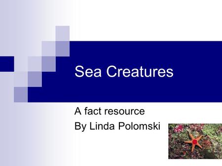 Sea Creatures A fact resource By Linda Polomski. OctopusSlide 2 The octopus is a mollusk that has no outside shell. There are over 100 different species.