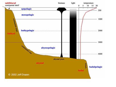 Polar Ecology. Bhopal, India Minamata, Japan Chernobyl, USSR Toxic Events.