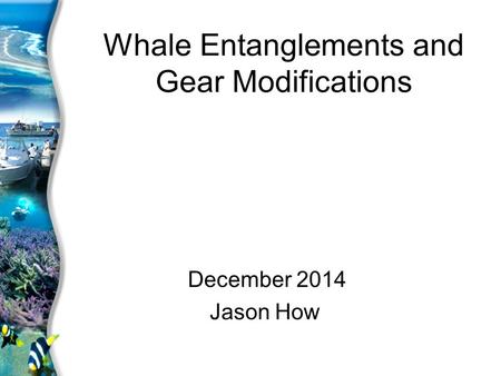 Whale Entanglements and Gear Modifications December 2014 Jason How.