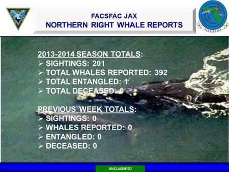 1 UNCLASSIFIED 2013-2014 SEASON TOTALS:  SIGHTINGS: 201  TOTAL WHALES REPORTED: 392  TOTAL ENTANGLED: 1  TOTAL DECEASED: 0 PREVIOUS WEEK TOTALS: 