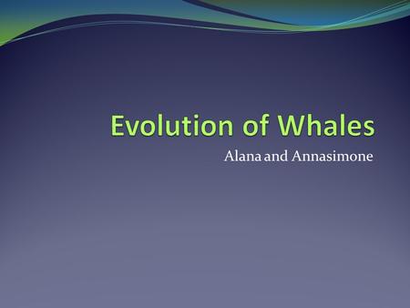 Alana and Annasimone. Timeline 47 million years ago: - Alligator like feet - Fed in the water - 4.1 metres long - Forelimbs and hind limbs for walking.