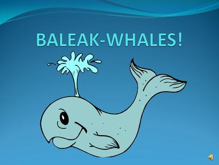 What is a whale? A whale is a large fish found in the ocean. It is also a MAMMAL, just like us! Mammals are warm-blooded, breathe air, nurse their young.