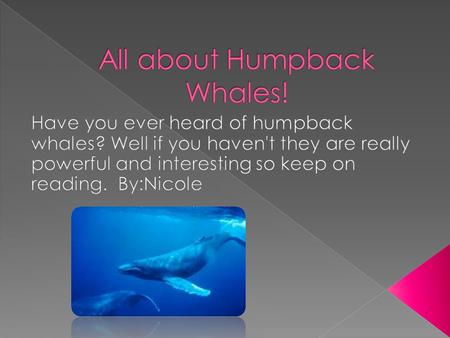 Humpback whales can travel for a really long distance in the big waters. like about 9,000 miles per day Also they swim 90,0000 miles each year. Did you.