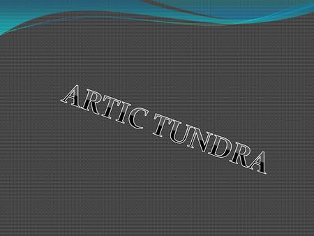 ARTIC TUNDRA.