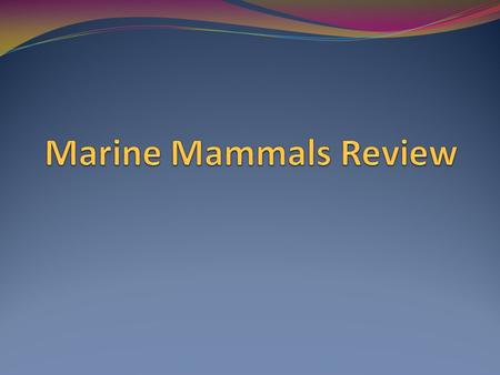 The basics Marine Tetrapods 4 limbs Breathe air with lungs Terrestrial ancestor species Reptiles, birds, mammals + 1 species of frog in Asia.