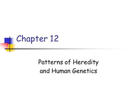 Patterns of Heredity and Human Genetics