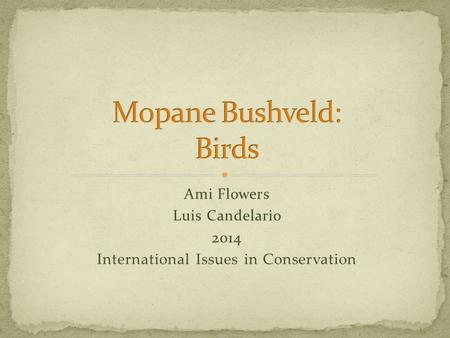 Ami Flowers Luis Candelario 2014 International Issues in Conservation.