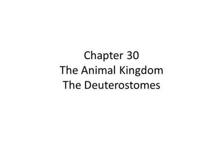 Chapter 30 The Animal Kingdom The Deuterostomes