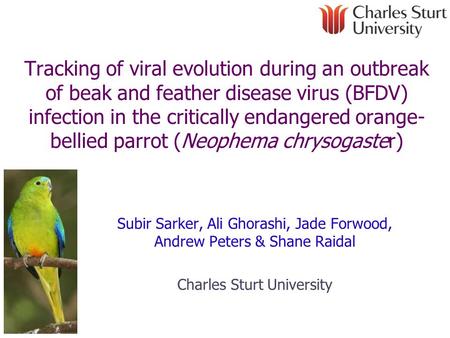 Tracking of viral evolution during an outbreak of beak and feather disease virus (BFDV) infection in the critically endangered orange- bellied parrot (Neophema.