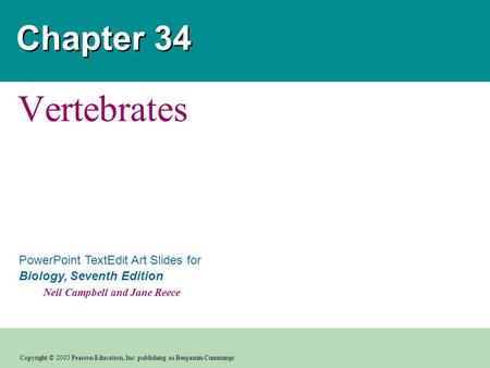 Copyright © 2005 Pearson Education, Inc. publishing as Benjamin Cummings PowerPoint TextEdit Art Slides for Biology, Seventh Edition Neil Campbell and.